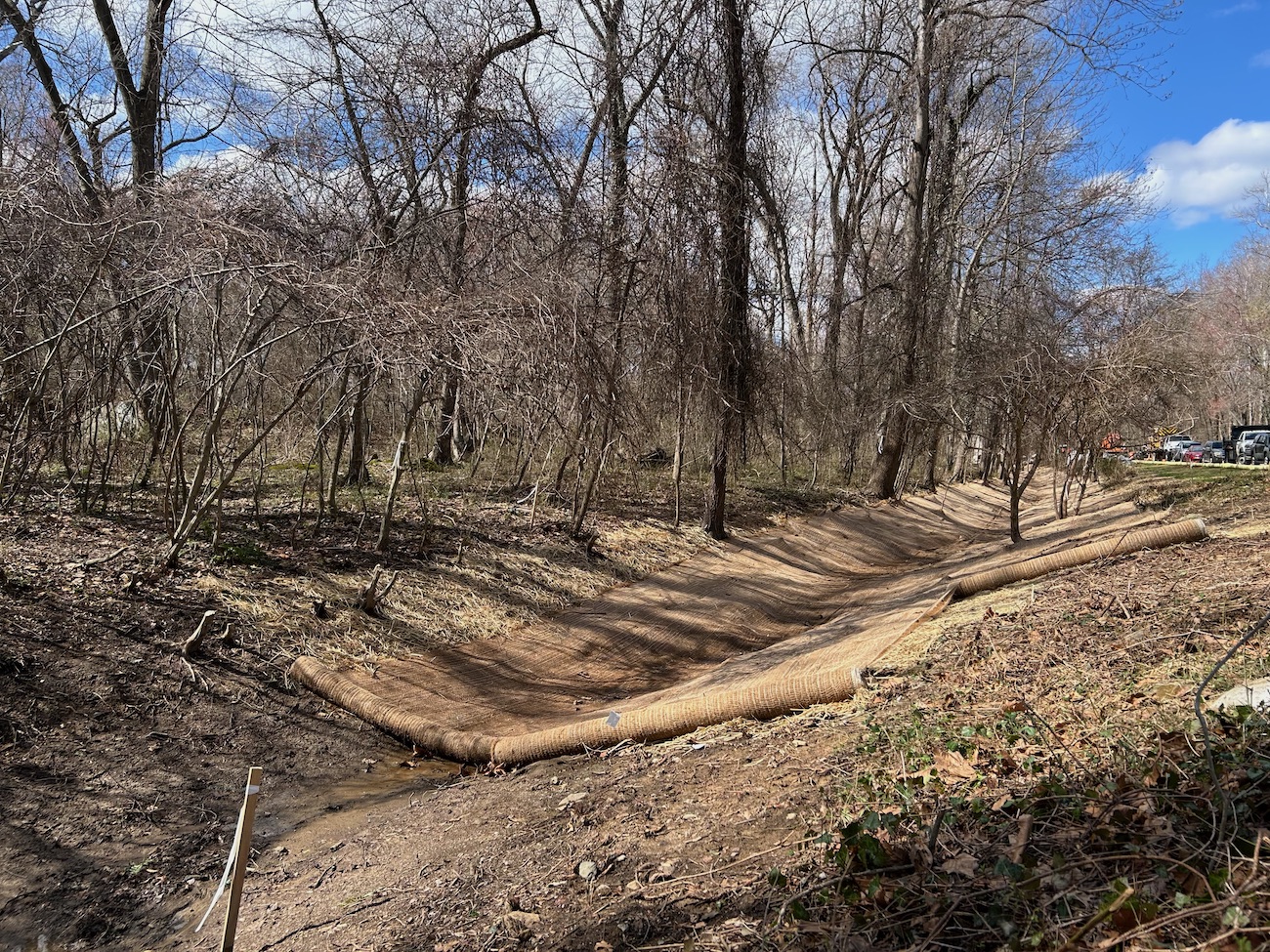Photo of environmental rehabilitation work in drainage channel
