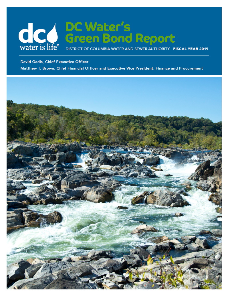 2019 Green Bond PDF