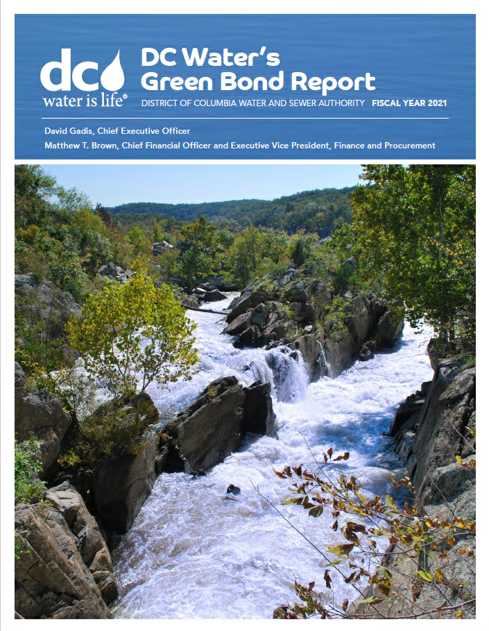 2021 Green Bond PDF