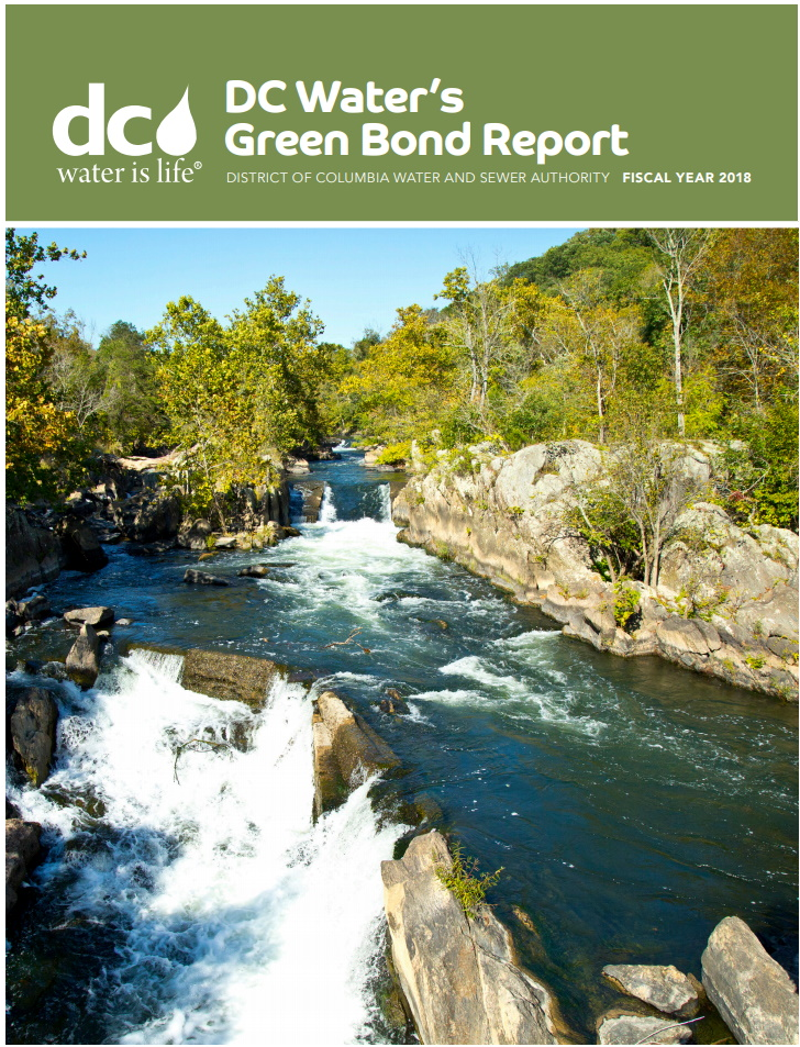 2018 Green Bond PDF