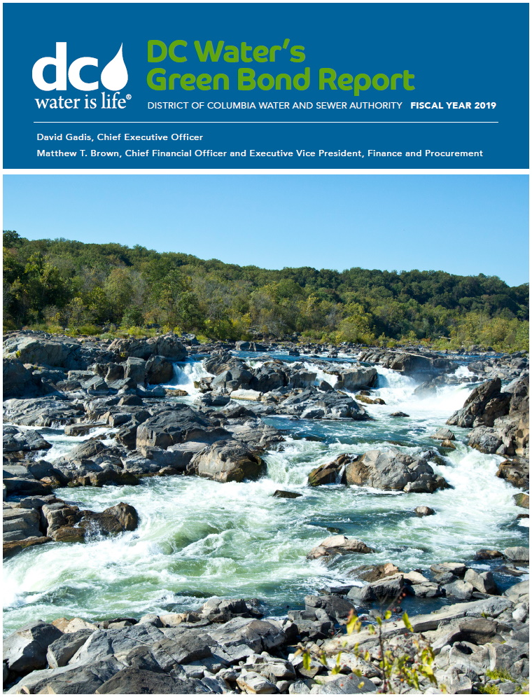 2019 Green Bond PDF