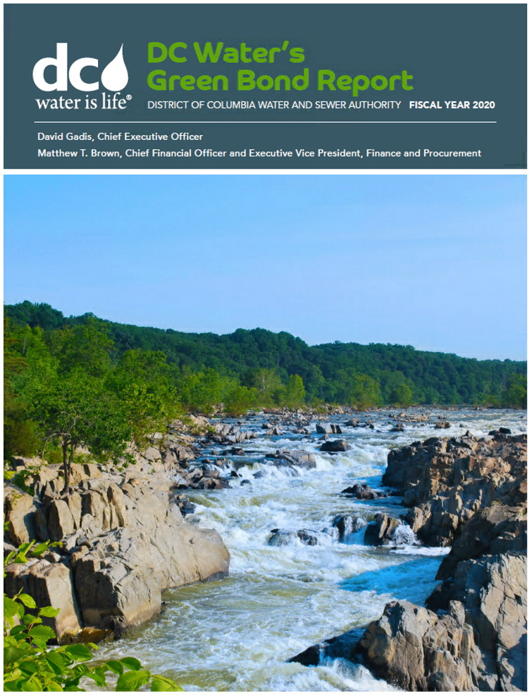 2020 Green Bond PDF