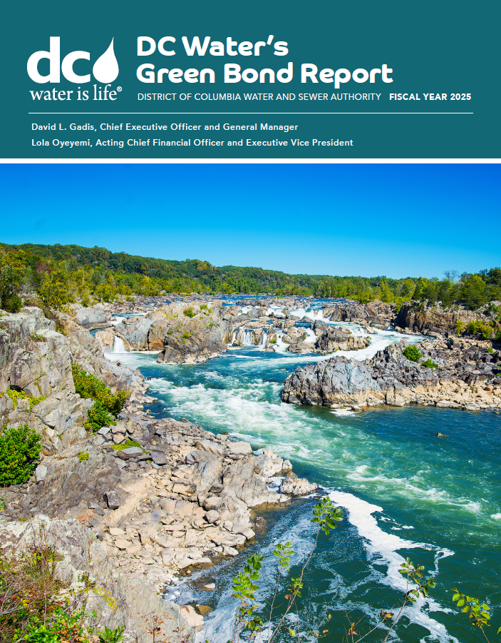 2025 Green Bond PDF