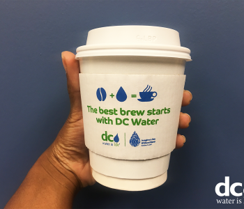 the best brew begins with DC Water