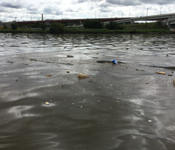 Plastic bottles, cups and other floating debris on the surface of the Anacostia River before the Anacostia River Tunnel began operating.