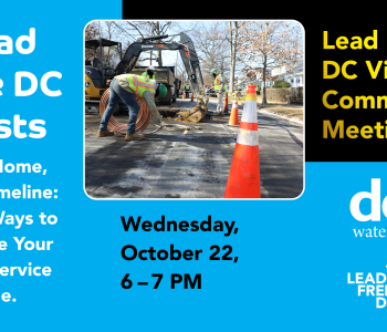 Graphic showing LFDC work on a block, date and time of the virtual meeting