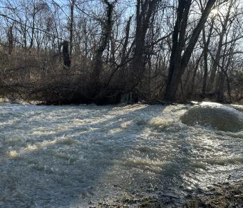 Image showing wastewater from manhole on Potomac Interceptor