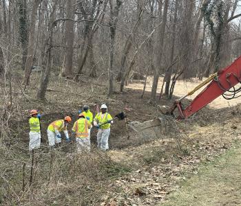 Photo of workers doing environmental rehab in west section of Area 1
