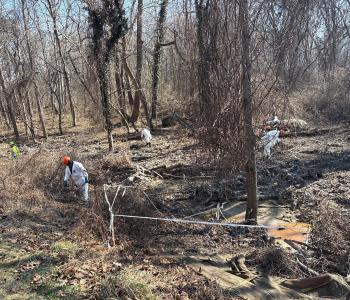Workers clearing brush and debris from drainage channel