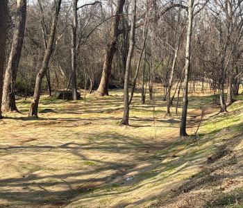 Photo of drainage channel with soil stabilization and grass growing in