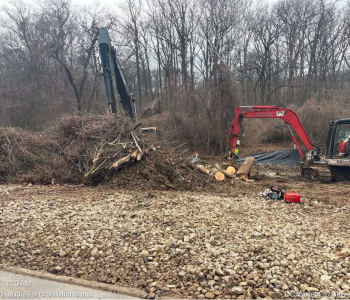 Tree and debris removal for environmental rehabilitation