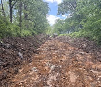 Photo of long stretch of C & O Canal with soil removed