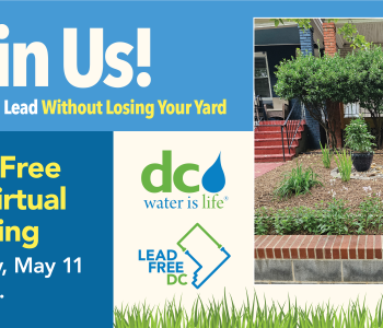 Graphic for the May 11th Meeting