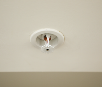 Close up of a fire sprinkler head in the ceiling