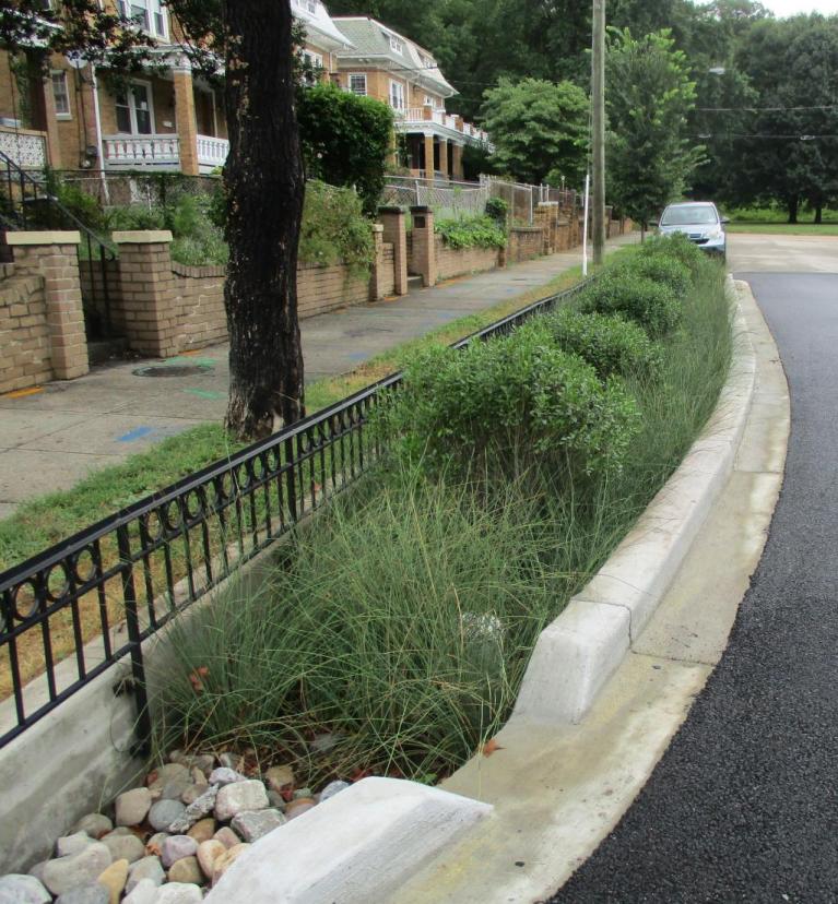 Photo of a green infrastructure installation