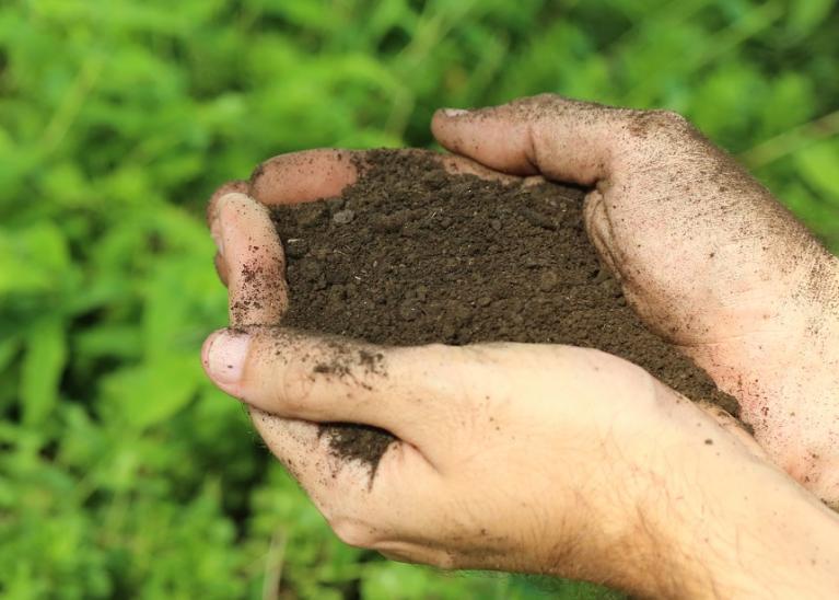 A sample of Bloom Close up of cupped hands holding some of the Bloom soil amendment