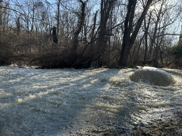 Image showing wastewater from manhole on Potomac Interceptor