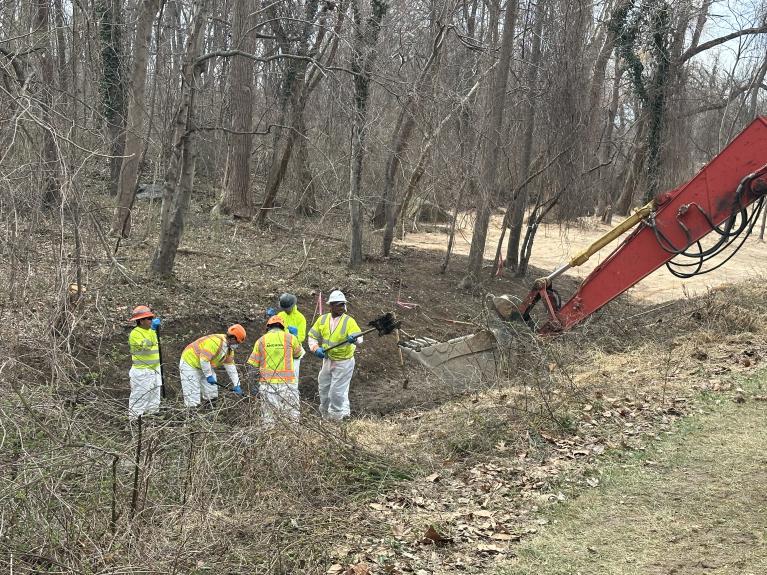 Photo of workers doing environmental rehab in west section of Area 1
