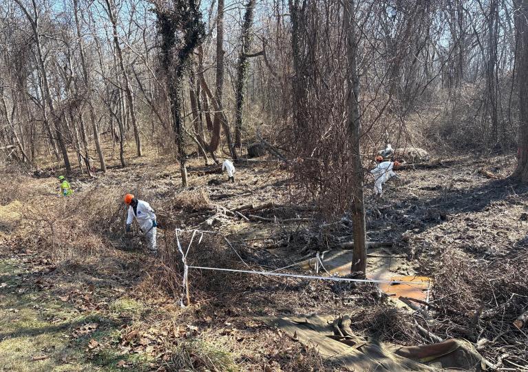 Workers clearing brush and debris from drainage channel