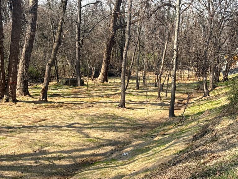 Photo of drainage channel with soil stabilization and grass growing in