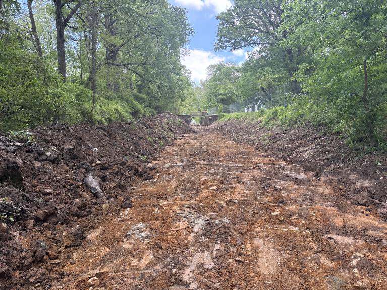 Photo of long stretch of C & O Canal with soil removed