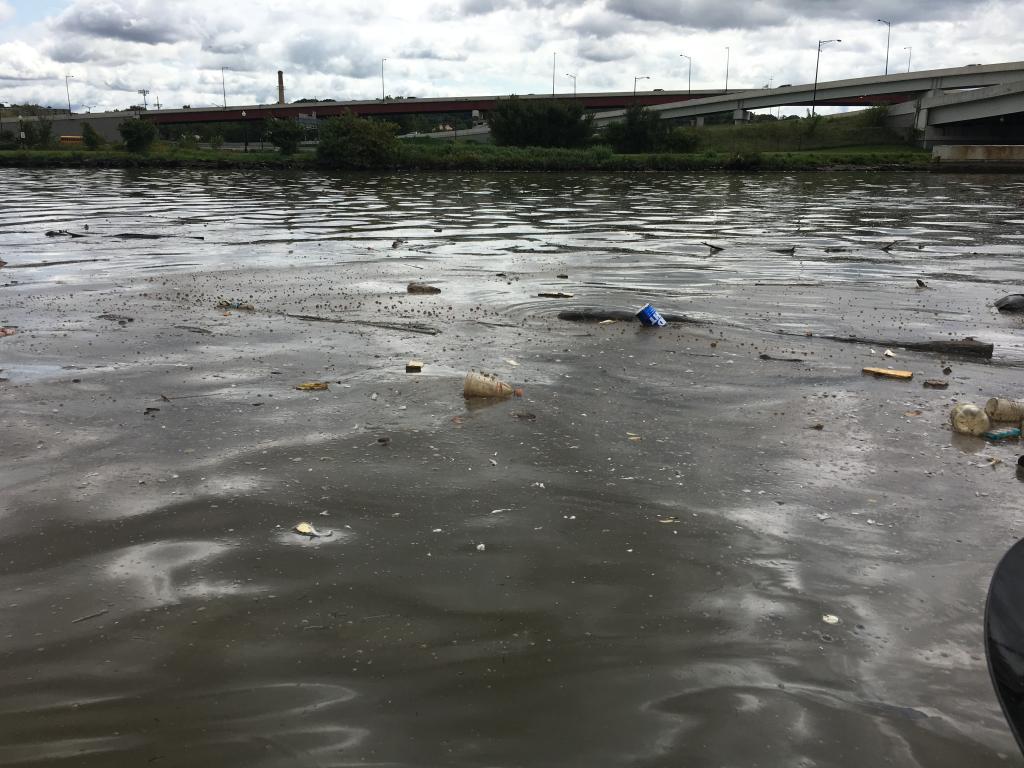Plastic bottles, cups and other floating debris on the surface of the Anacostia River before the Anacostia River Tunnel began operating.