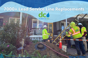 Lead Service Line Replacment Work Workers replacing lead service line at a home in Northwest DC