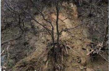 Picture of previous rock slide on the slope