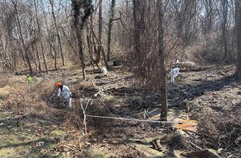 Workers clearing brush and debris from drainage channel