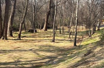 Photo of drainage channel with soil stabilization and grass growing in