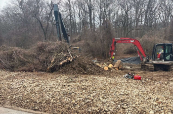 Tree and debris removal for environmental rehabilitation