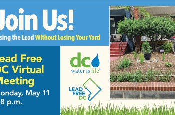 Graphic for the May 11th Meeting