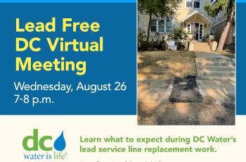 Lead Free DC Flyer with information about Virtual Community Meeting